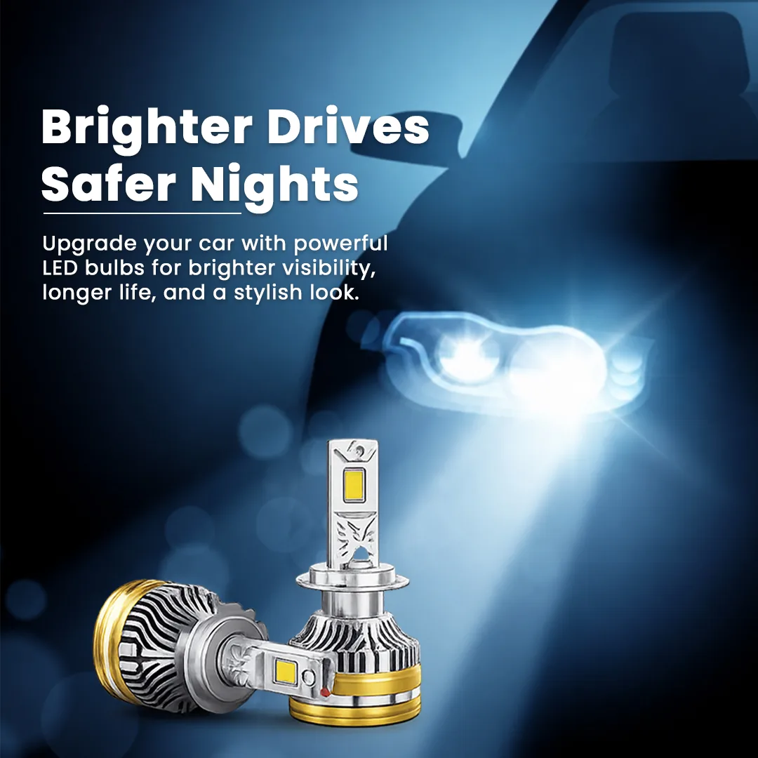 LED Bulb for Ritz 12-17